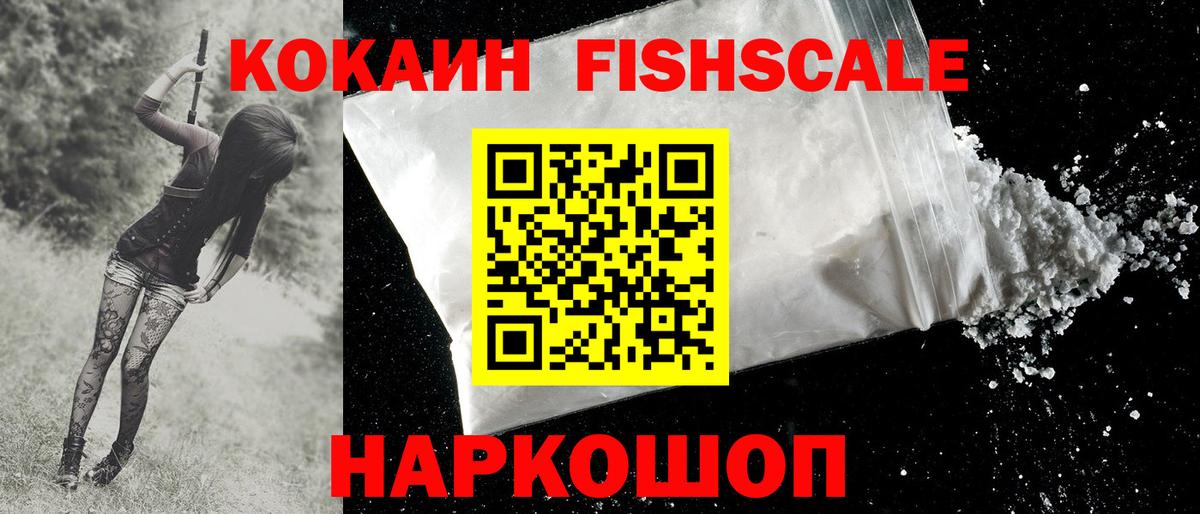 цены наркотик  COCAIN FishScale  Вход с VPN  Петропавловск-Камчатский 