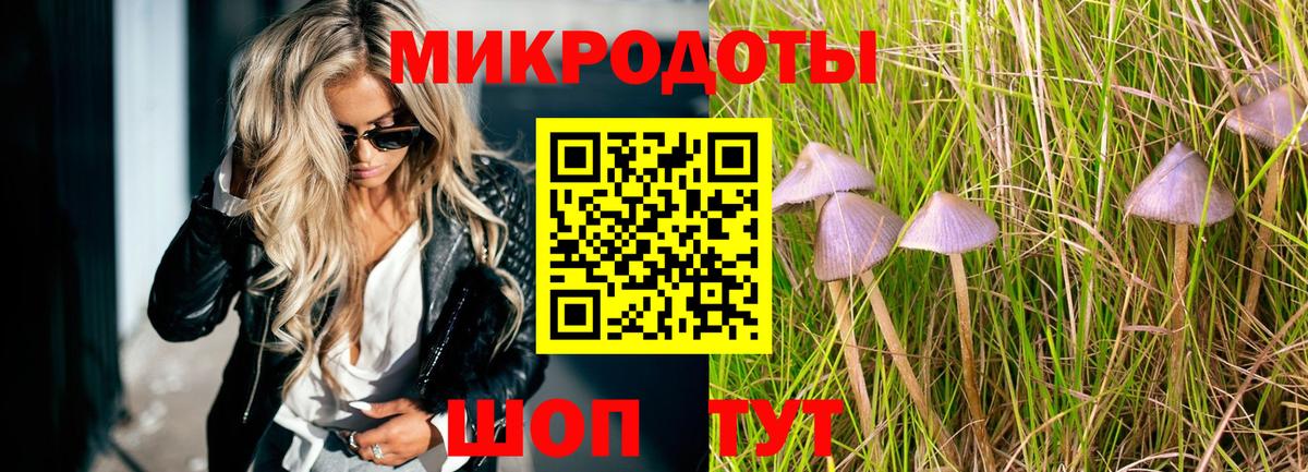 купить наркотики цена  Псилоцибиновые грибы MAGIC MUSHROOMS  Вход с VPN  Петропавловск-Камчатский 