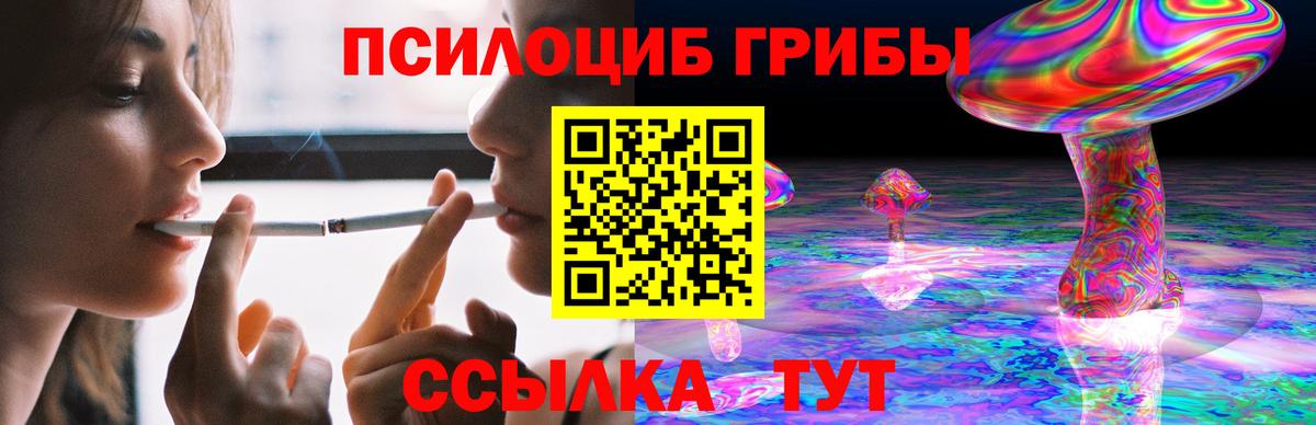 Галлюциногенные грибы Psilocybine cubensis Петропавловск-Камчатский
